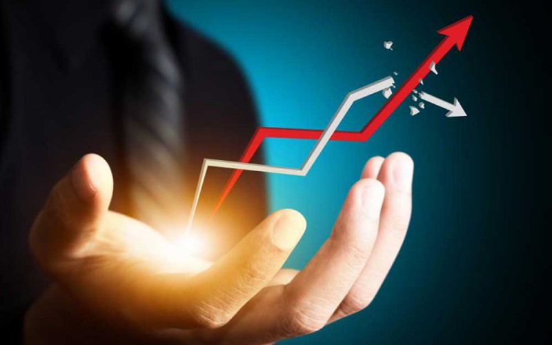 Domain Hosting Service